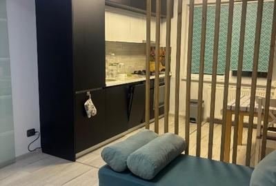 3 camere Aparatori Patriei - pet friendly - 1