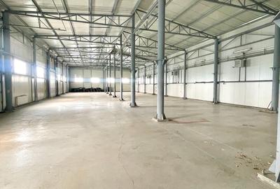 Hala - Pantelimon - Centura București - DN3 - A0 - 2