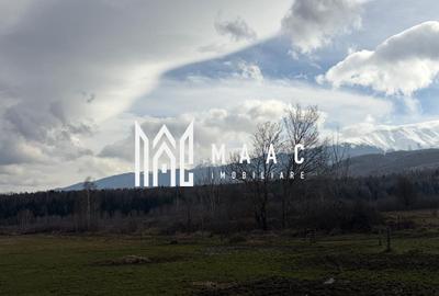 Teren 900 mp | Valea Avrigului | La strada - 6