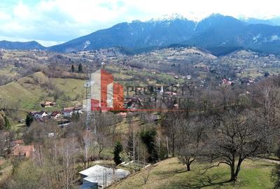 Teren 1.750 mp Bran – Poarta |Autorizatie si Fundatie | Utilități complete - 6