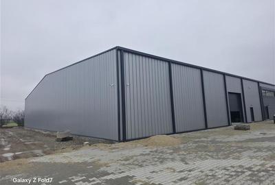 Vanzare depozit/hala/spatiu industrial Mogosoaia - Buftea - 7