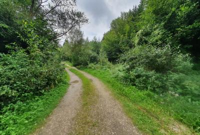 Teren Rasnov – Glajariei zona de pensiuni pretabil investitii 12 euro/mp - 2