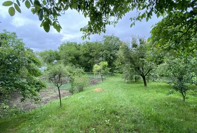 Proprietate speciala: Casa individuala 200 mp utili si 2550 mp teren, Oasului - 4