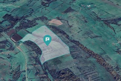 Teren arabil de 87 hectare în Bara, Timiș - 5
