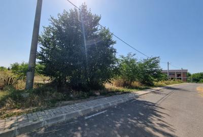 Teren de vanzare in Loc Domnesti - Tudor Vladimirescu - 6