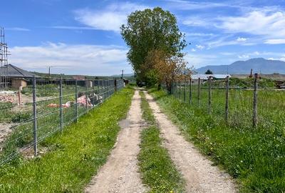 Teren intravilan construcție casă - 1