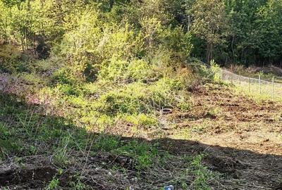 Teren intravilan 1000 mp-ideal casă de locuit, investitie-Zona Centura - 2