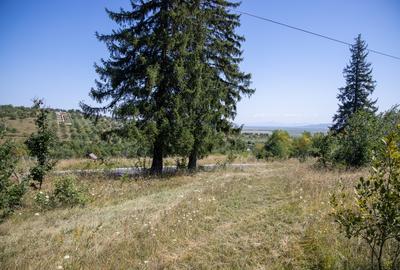 Comision0% Teren recreational 4200mp Vulcan Brasov- curent-asfalt - 13