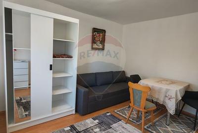 Garsonieră spațioasă cu balcon mare, Brazda, etaj 1 - 4