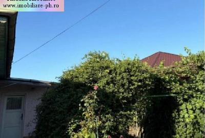 Casa de vanzare - Valea Calugareasca - 4