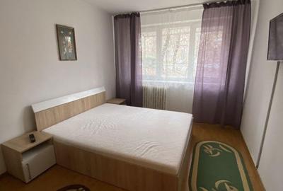 Inchiriere apartament 2 camere  Gorjului - 2