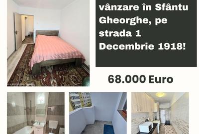 Apartament cu 2 camere de vânzare în Sfântu Gheorghe, pe strada 1 Decembrie 1918 - 1