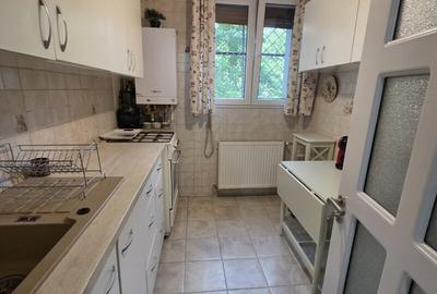 Nicolae Grigorescu-metrou-aleea Fuiorului - 12