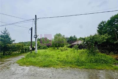 Teren intravilan 1600 mp | Valea Avrigului | zona turistica - 5
