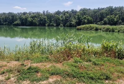 Teren 2110 mp de vanzare  – Brănești, Ilfov, locație unică lângă lac și pădure - 3