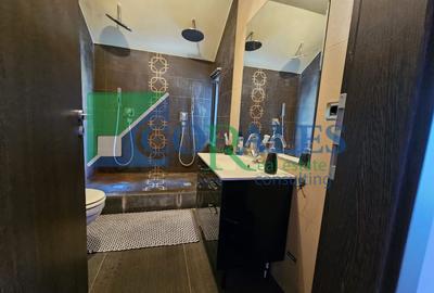 Casa individuala.  Suprafete generoase. Zona buna! - 14