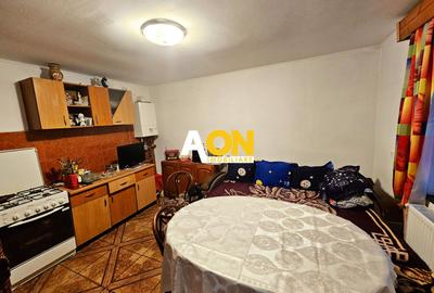 Casa cu doua corpuri, 5 camere, 1580 mp teren, Dealul Furcilor - 19