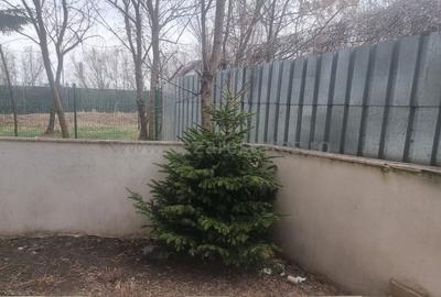 HERASTRAU SOSEAUA NORDULUI  DE VINZARE SPATIU COMERCIAL - 18