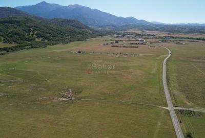 Teren extravilan Rasnov - 9