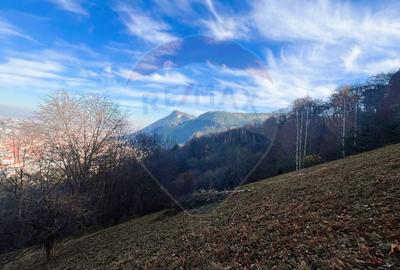Teren Colinar Panoramic – 17.684 mp în Scheii Brașovului - 1