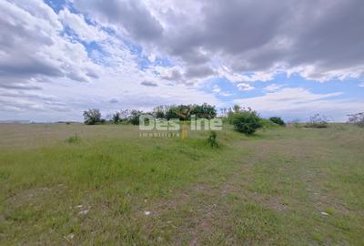 Teren extravilan, 114000 mp, Parc industrial West Park - 6