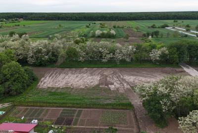 Vand  Teren UNIIC Zona Nord  Grădiștea 15744 Mp 4 Deschideri intravilan OCAZIE - 7