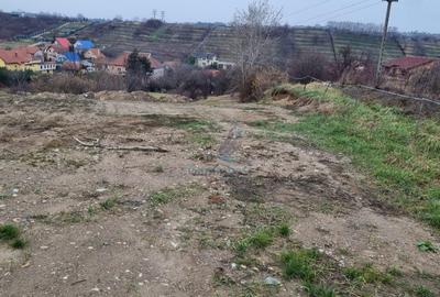 Vanzare Teren intravilan 3133 mp strada Sofiei, Oradea, Bihor - Exclusivitatate - 5