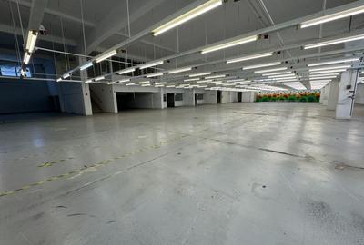 Hala productie P+1 si apartament de serviciu Navodari - c-tie beton - 7