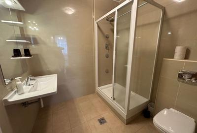 Apartament spatios zona Centrala - 10