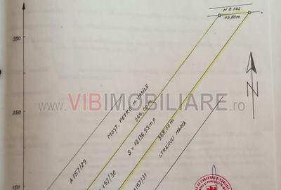Comuna Dascalu - A0 - teren intravilan 9000 mp - 6