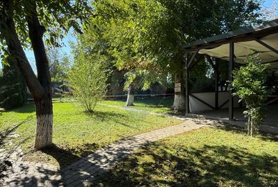 Cladire cu teren de inchiriat Bacau Calea Romanului - 24