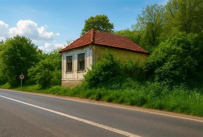 Domeniu verde autentic,  +5.000mp, front la DJ, Valcele, Brasov -- Covasna - 1