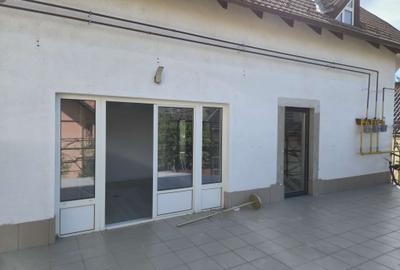 Spatii comerciale de inchiriat - 11