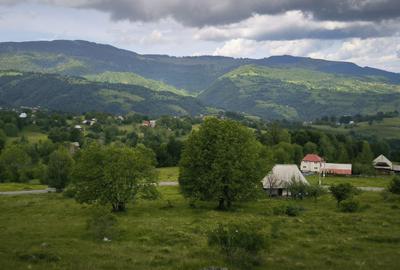 Teren Rogojel 15.000MP 8 EURO/MP - 1