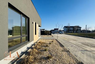 Casă individuală cu 4 camere în Domnești