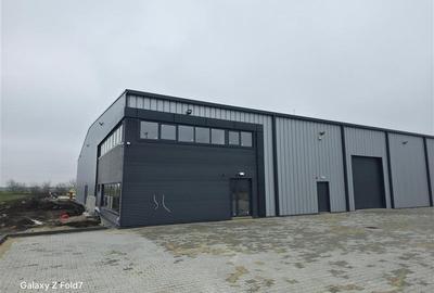 Vanzare depozit/hala/spatiu industrial Mogosoaia - Buftea - 4