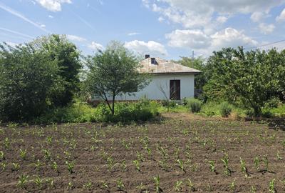 Vanzare casa Lehliu-Comuna Dor Marunt - 17