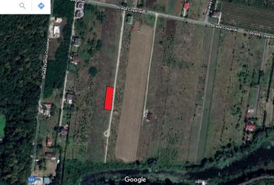 Teren intravilan Silistea Snagovului 860 mp - 1