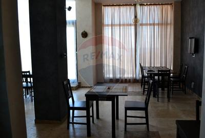 VÂNZARE - Afacere la cheie: Pensiune clasificata 3 stele – Vama - 7