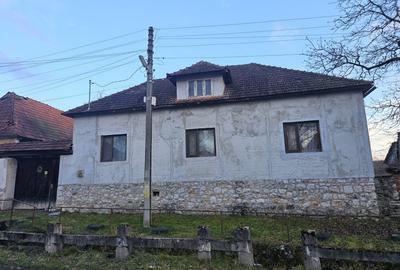 Casă cu 4 camere, suprafață 110 mp + teren 2.200 mp, Vărzarii de Jos - 1