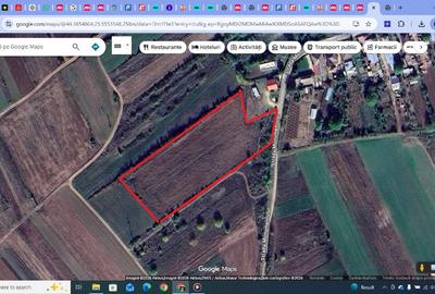 Teren agricol, 1HA, Marsa, Giurgiu - 4