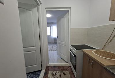 Garsoniera moderna Pacurari - 2