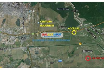 Teren 49.000 mp Balaceanca - Cernica - 1