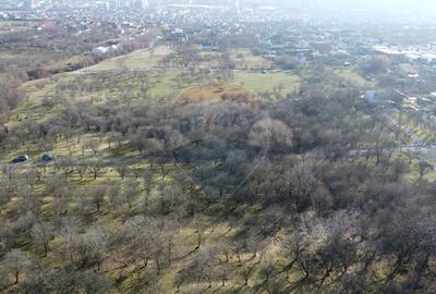 Teren 20.146 mp Dâmbu Rotund (Lomb).Extravilan.Potențial rezidențial - 17