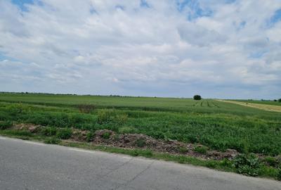 Teren Tartasesti - Brezoaia , deschidere generoasa la sosea.Excelent investitie - 1