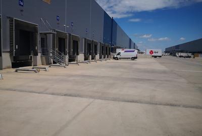 Spatiu Industrial DNCB Mogosoaia - 2