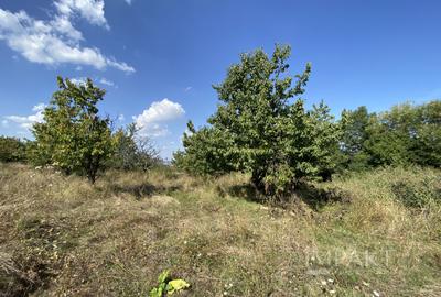 Teren 802 m2 Faget cu PUZ aprobat - 1