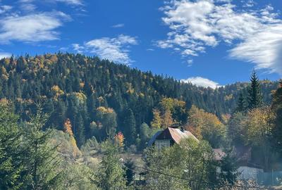 Teren intravilan Predeal - 3