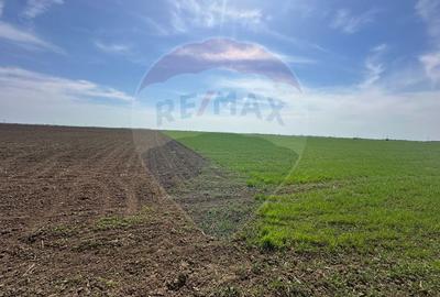 Teren 138.104 mp Dragomiresti-Vale, Ilfov, langa A0 - 7