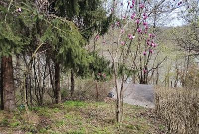 Proprietate de vacanta Valea Oltului - BREZOI - 21